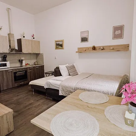 Comfort Place Daire Brno